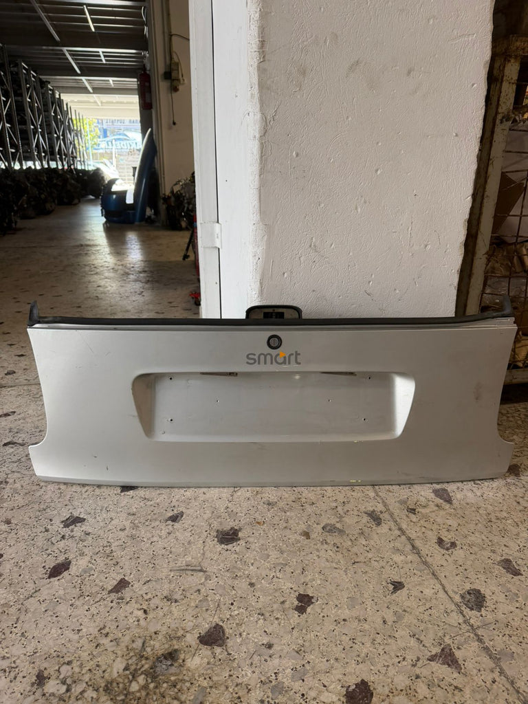 Rear Door - Panel Smart 450 1998-2007