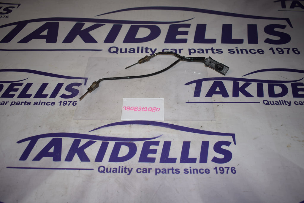 Πυρόμετρο Peugeot - Citroen